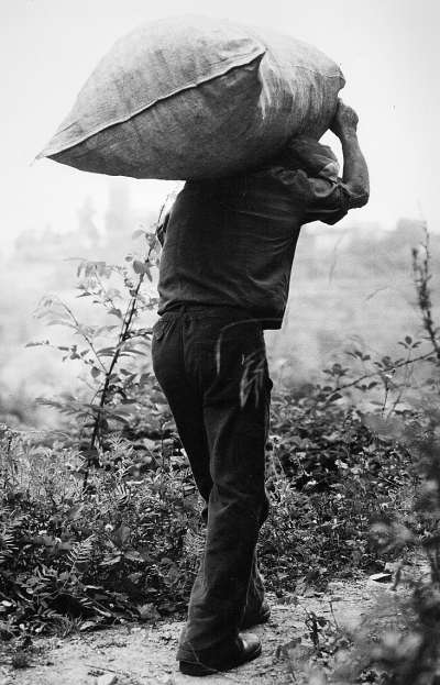  Image name: 16 Carbonai.jpg 
 width: 400 pixel 
 height: 623 pixel 
 Size: 40140 bytes 
 Click to enlarge 